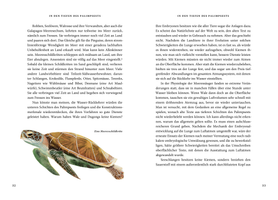 Buchcover Das große Buch der Evolution - Buch