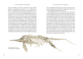 Buchcover Das große Buch der Evolution - Buch