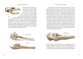 Buchcover Das große Buch der Evolution - Buch