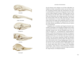 Buchcover Das große Buch der Evolution - Buch