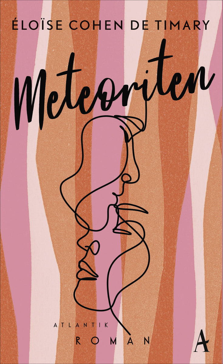 Coverbild Meteoriten