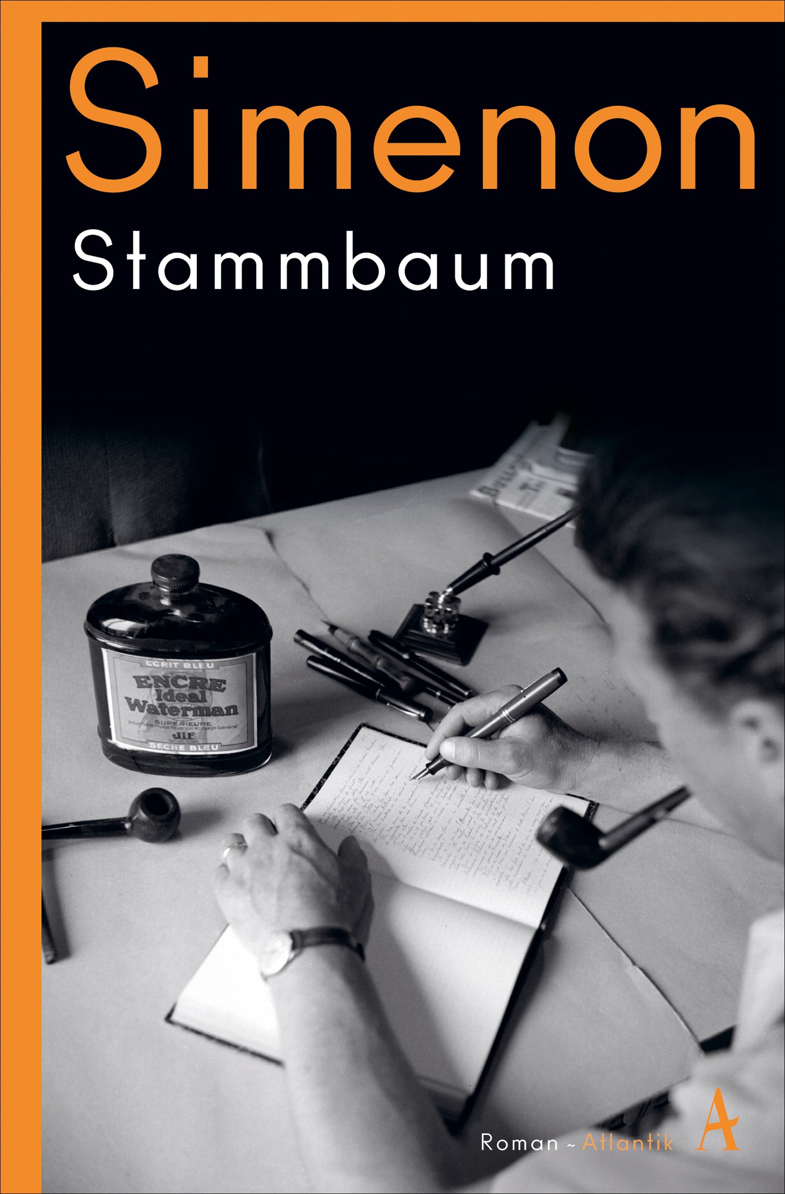 Buchcover Stammbaum - Taschenbuch