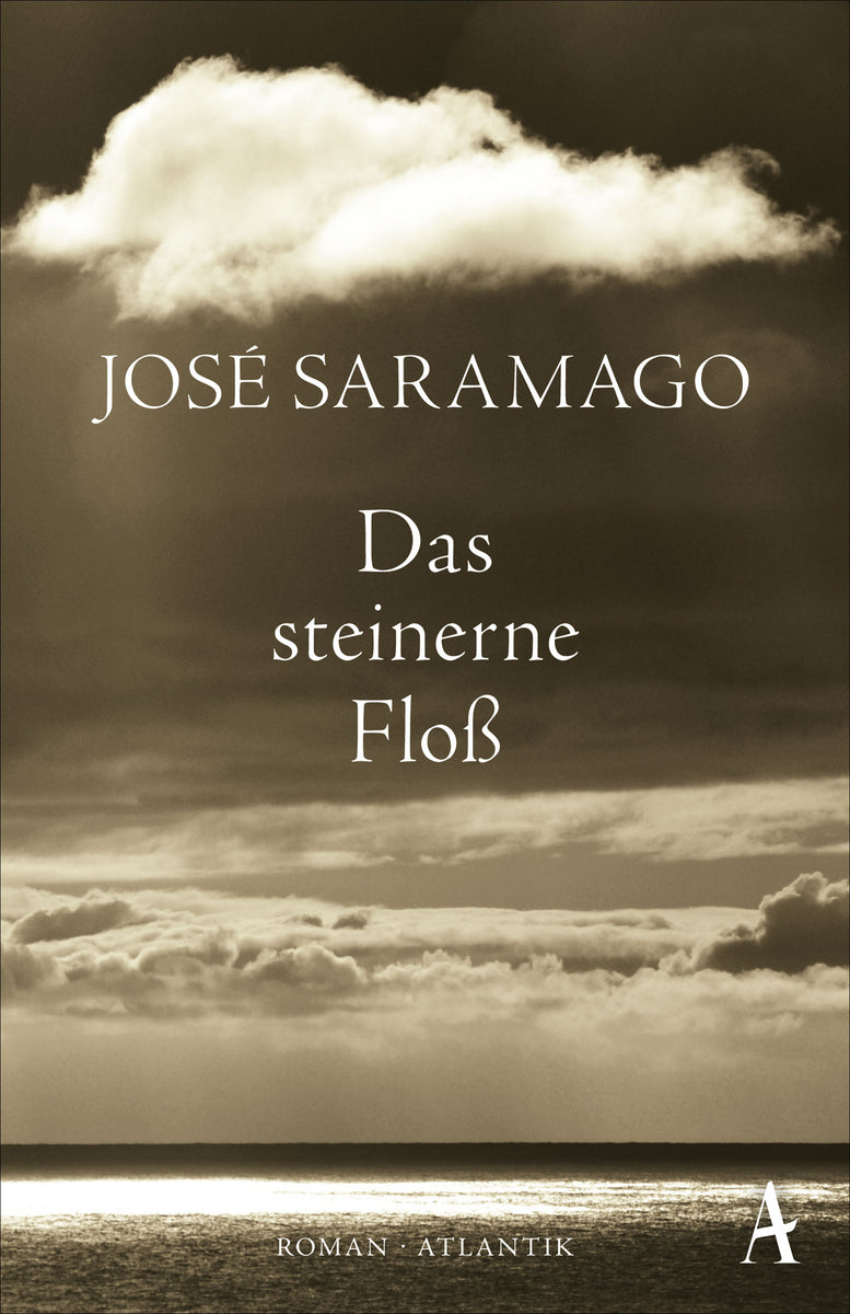 Coverbild Das steinerne Floß