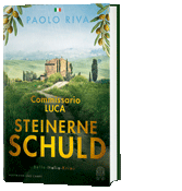 Coverbild Steinerne Schuld
