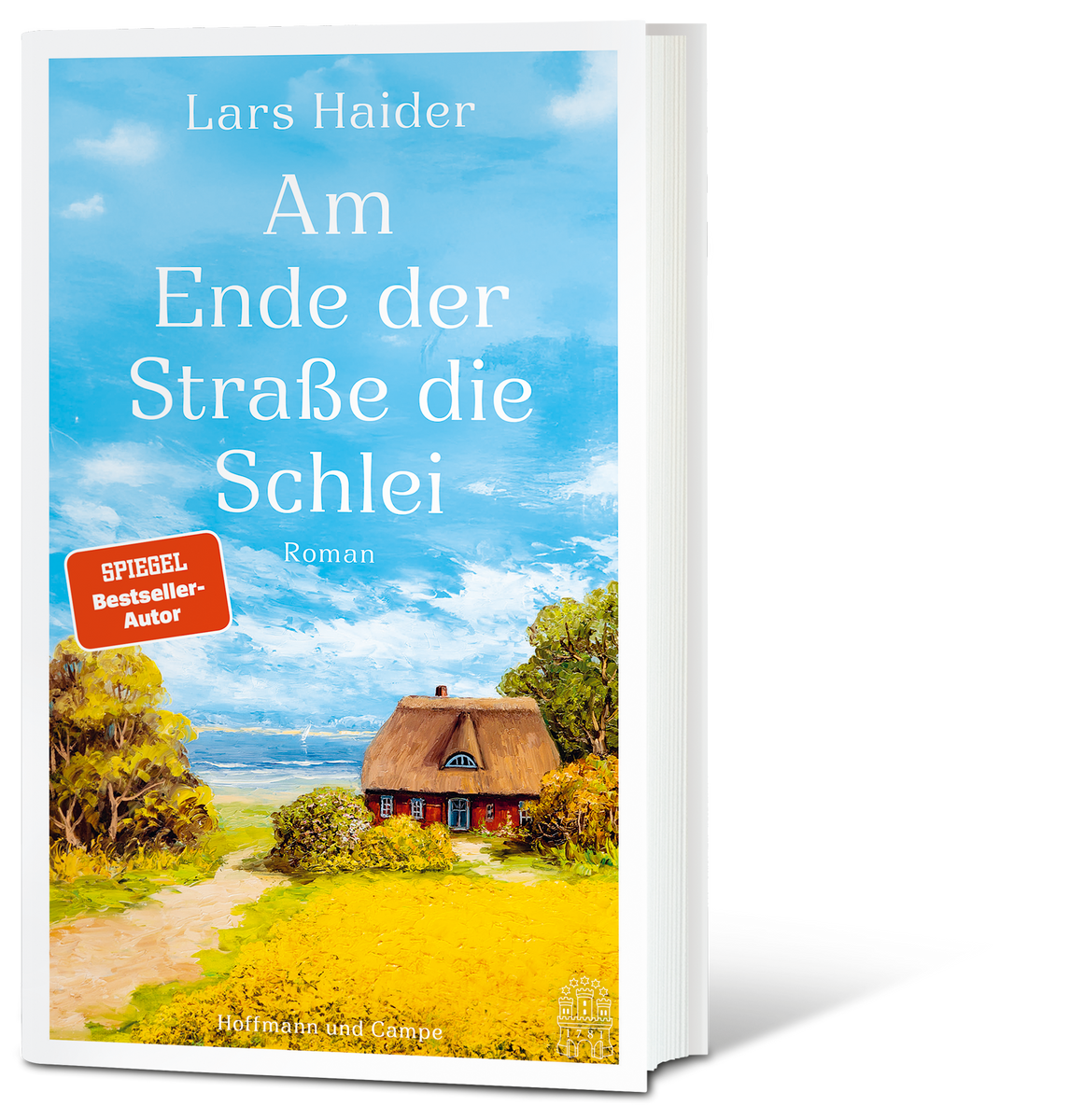 Coverbild Am Ende der Straße die Schlei