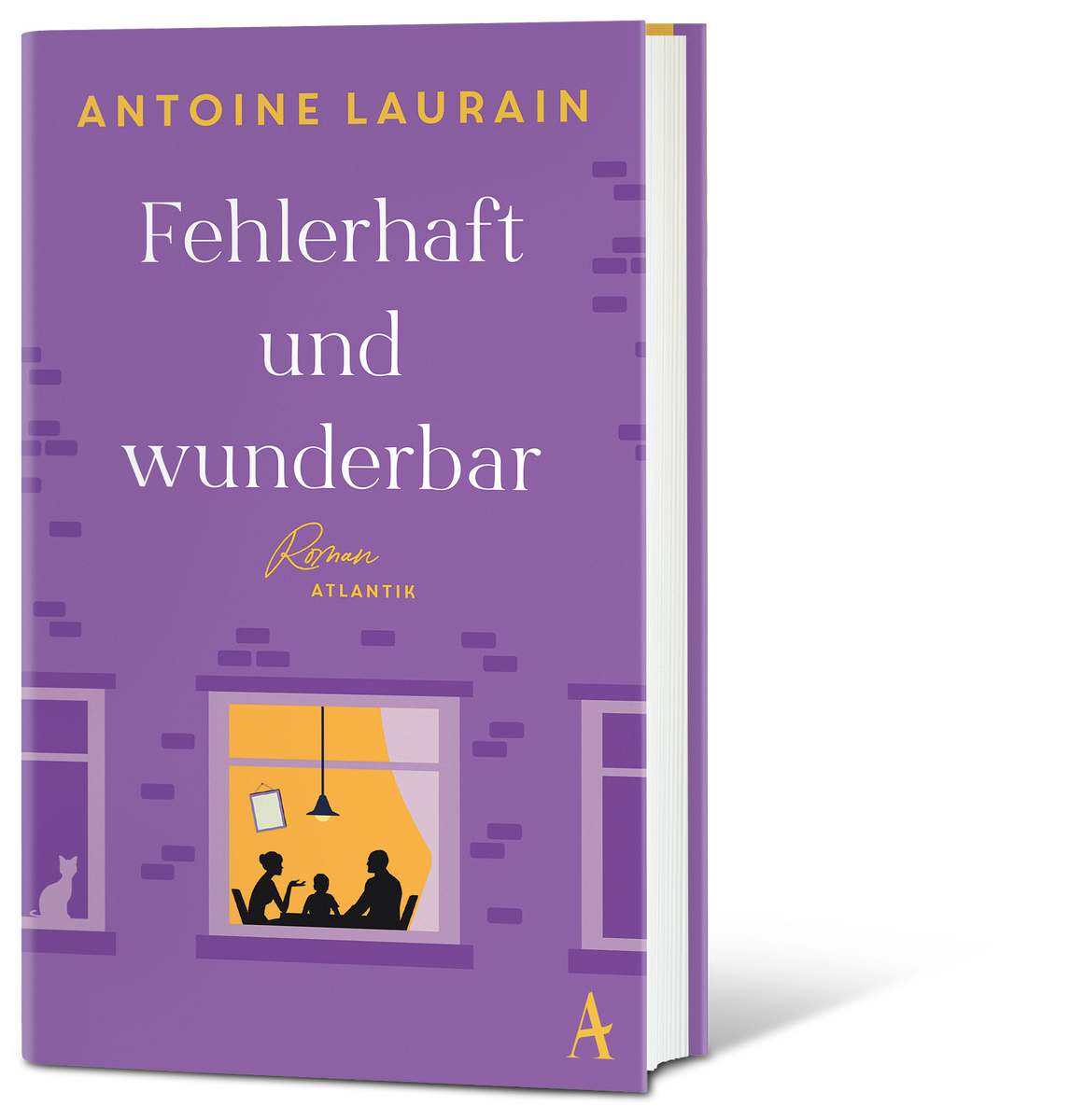 Coverbild Fehlerhaft und wunderbar