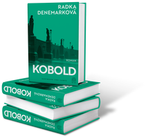 Buchcover Kobold - Buch