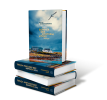 Buchcover Roman | Atmosphärisch, bildgewaltig und voll großer Gefühle - Buch