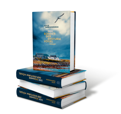 Cover Roman | Atmosphärisch, bildgewaltig und voll großer Gefühle